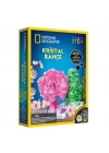 Natgeo Kristal Bitki Kiti