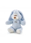 Peluş Mavi Tavşan 26 cm