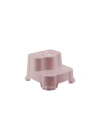 Pembe Desenli Katlı Çocuk Basamağı