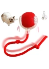 Şarjlı Kedi Oyuncağı