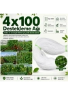 SN-38882 Bitki Tırmanma Ağı 4x100 m