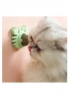 Yengeç Kedi Otu Oyun Topu