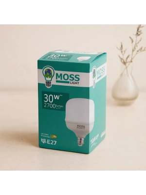 30W LED Ampul E27 2700 Lumen 50.000 Saat