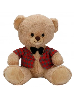 4810 Peluş Ayı Elbiseli 32CM 2A