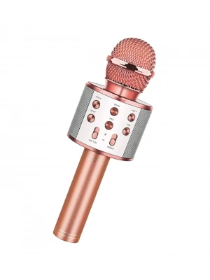 Bluetooth Karaoke Mikrofon