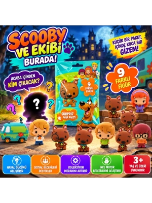 Cool Things Scooby Doo Buddies 3D Sürpriz Figür Paketi