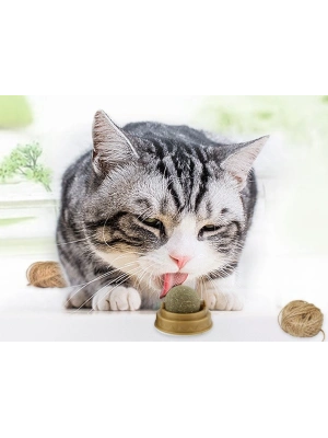 Kedi Otu Oyun Topu