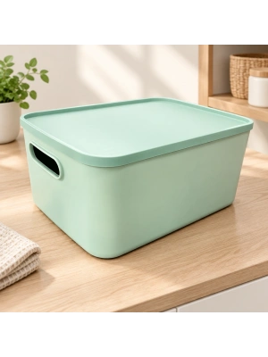 Lotus Organizer Kutu