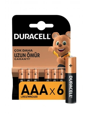 NessiWorld 6Lı AA Kalem Pil