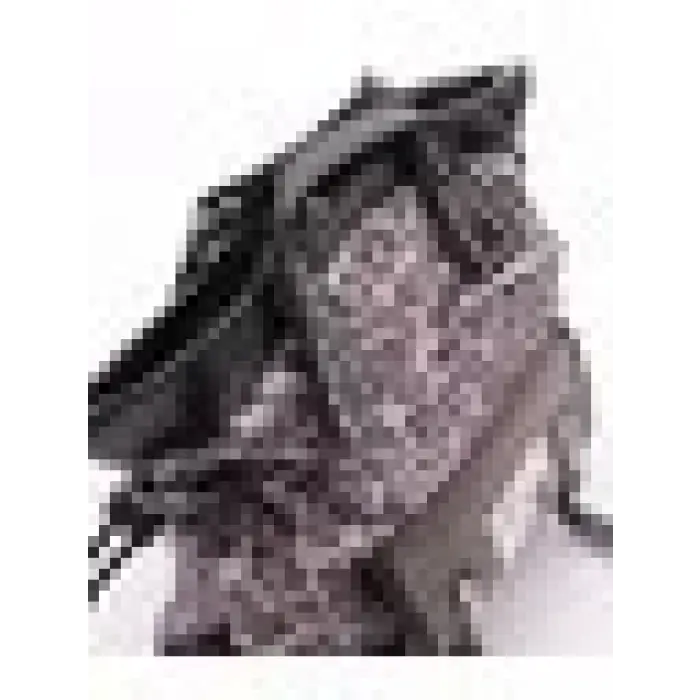 Corli Siyah Cilt Omuz Çantası