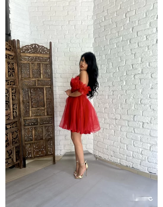 Kadın Kalp Yaka Kol Detaylı Tül BELLA Elbise