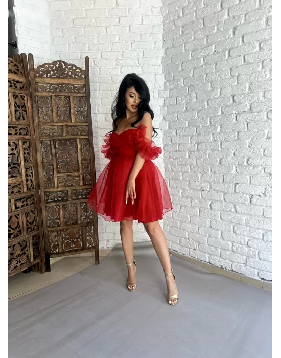 Kadın Kalp Yaka Kol Detaylı Tül BELLA Elbise