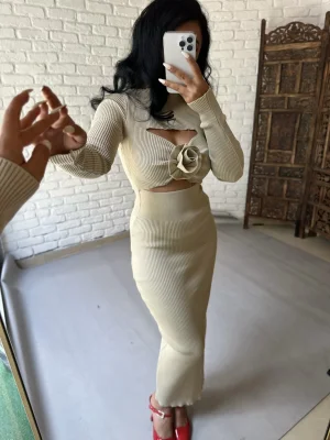 Kadın Gül Detaylı Göğüs Dekolteli Triko Elbise