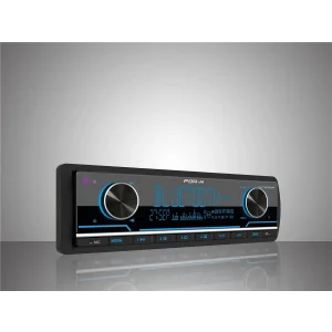 Forx XQ-7452DSP Oto Teyp