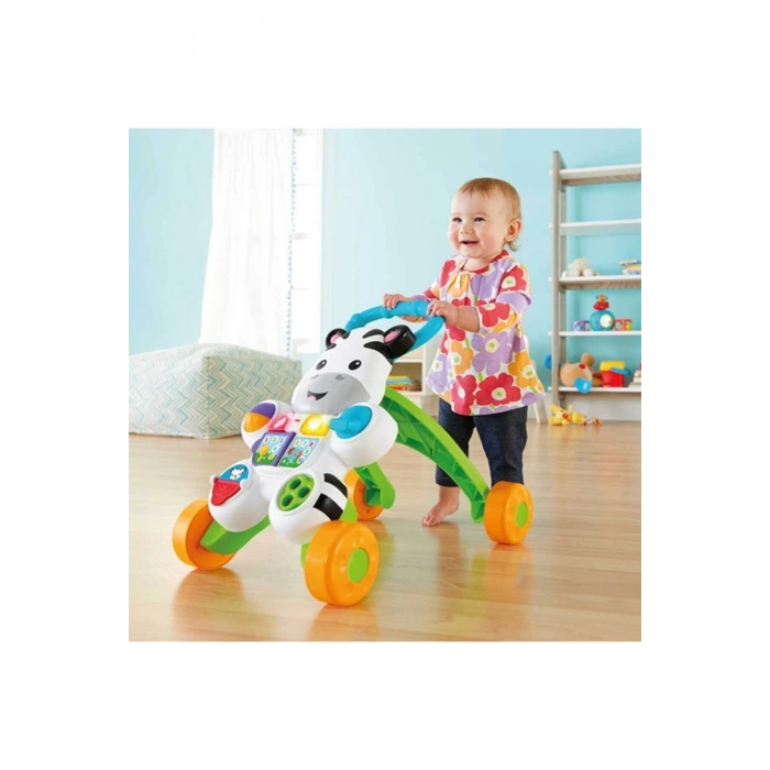 Melodili Zebra Yürüteç Dld80