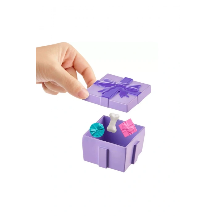 ™ Doğum Günü Partisi Paketi, bebek ve evcil hayvan oyun seti, temalı aksesuarlar JCC33