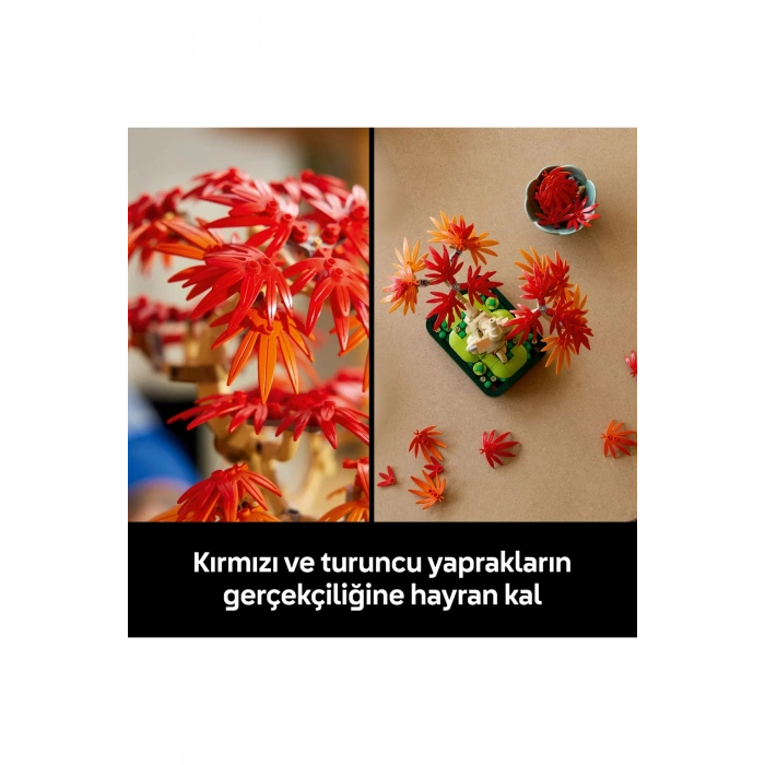 ® Botanicals Japon Kırmızı Akçaağaç Bonsai Ağacı 10348 - Yetişkinler için Model Yapım Seti (474P)
