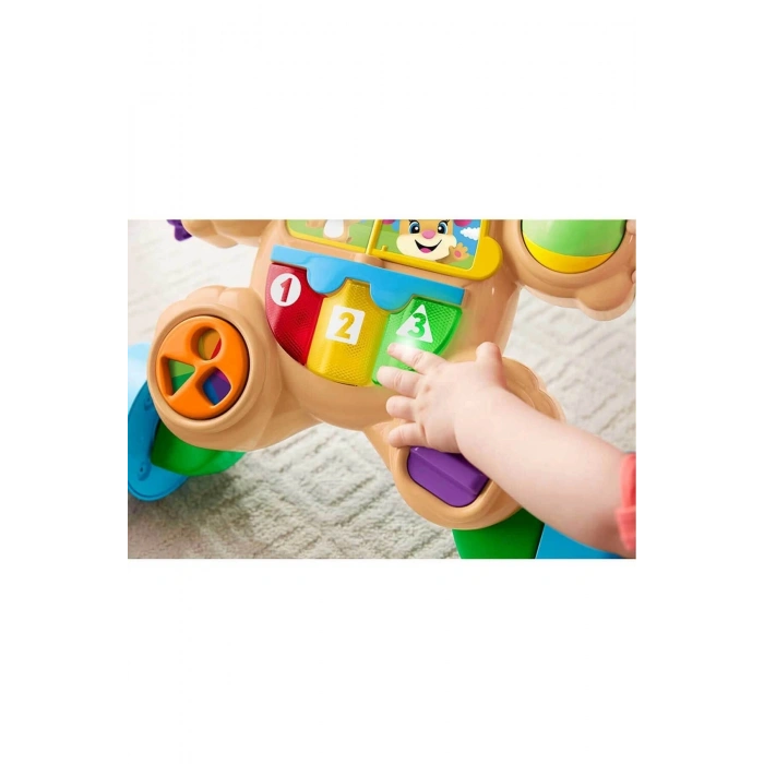 Eğlen,öğren Yaşa Göre Gelişim,eğitici Köpekçik Yürüteç Ftg10(TÜRKÇE)