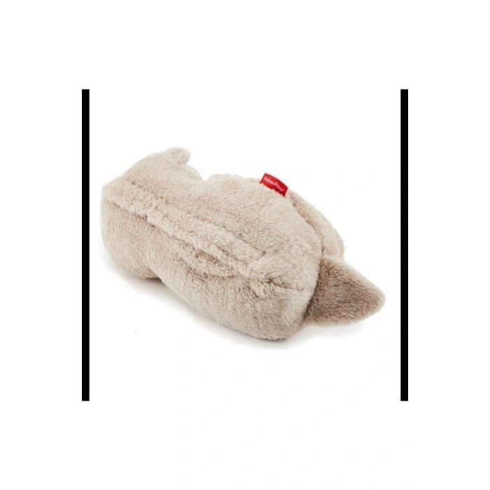 Uyku Arkadaşı Su Samuru