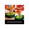 ® Botanicals Japon Kırmızı Akçaağaç Bonsai Ağacı 10348 - Yetişkinler için Model Yapım Seti (474P)