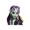 MONSTER HİGH ANA KARAKTER BEBEKLER JINAFIRE LONG HYV58