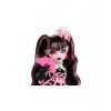 Scary Sweet Birthday Draculaura Sweet 1600 JBG73 JBG74