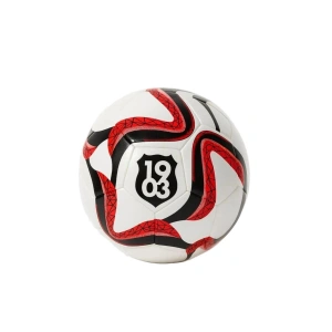 Timon Beşiktaş Wave Futbol Topu No:5 (615930)