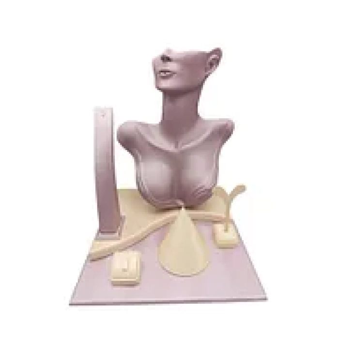 Yerli Üretim İmera Deri Kumaş Pembe- Krem Renk Mini Vitrin Takı Sergileme Mankeni