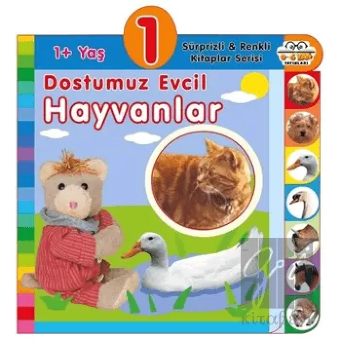 1+ Yaş Dostumuz Evcil Hayvanlar