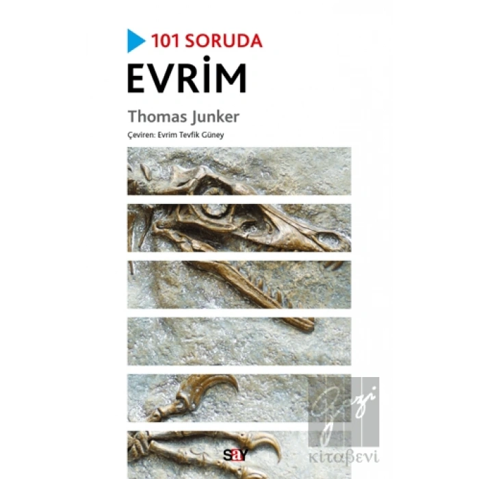 101 Soruda Evrim