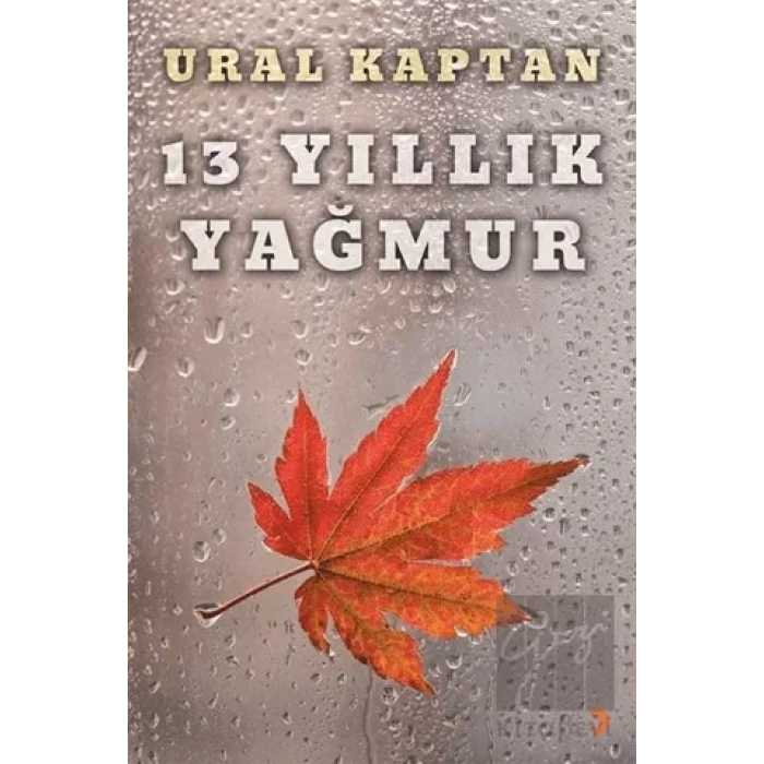 13 Yıllık Yağmur