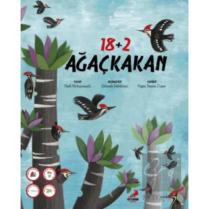 18 + 2 Ağaçkakan