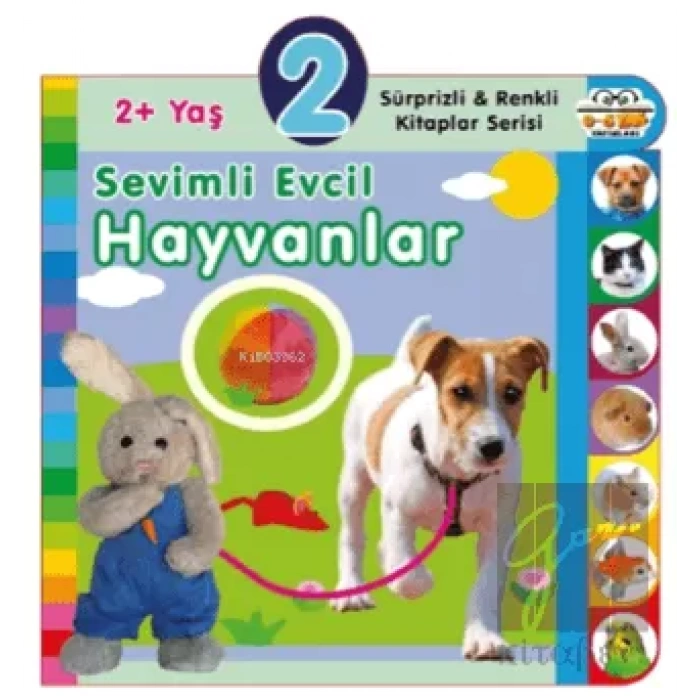 2+ Yaş Sevimli Evcil Hayvanlar