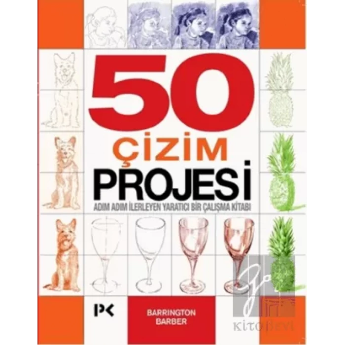 50 Çizim Projesi