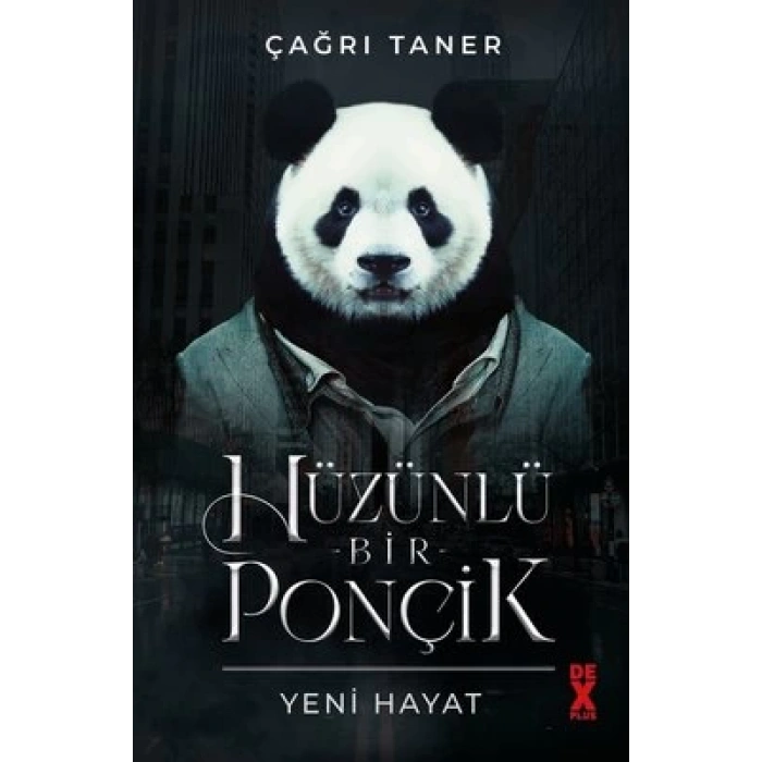 Hüzünlü Bir Ponçik - Yeni Hayat