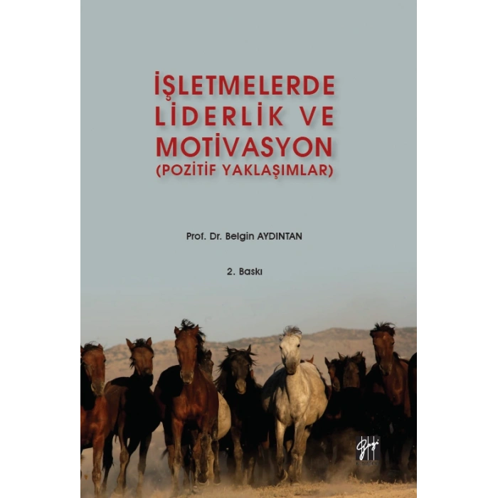 İşletmelerde Liderlik ve Motivasyon (Pozitif Yaklaşımlar) - Belgin AYDINTAN