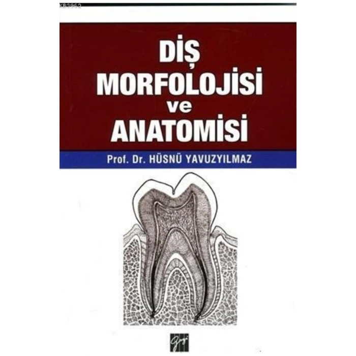 Diş Morfolojisi Ve Anatomisi-
