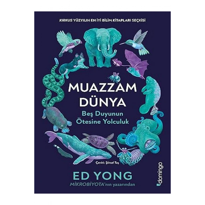 Muazzam Dünya: Beş Duyunun Ötesine Yolculuk
