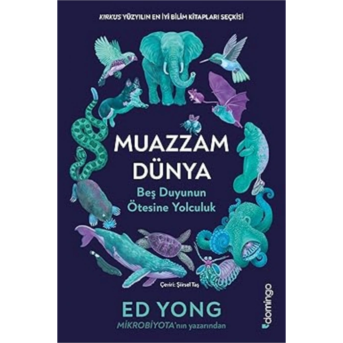 Muazzam Dünya: Beş Duyunun Ötesine Yolculuk + Matematiğin Kısa Tarihi: Sonsuzluğun Terbiye Edilişi