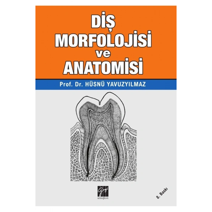 Diş Morfolojisi ve Anatomisi