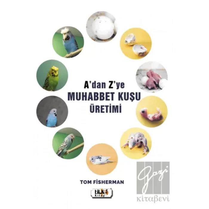 Adan Zye Muhabbet Kuşu Üretimi