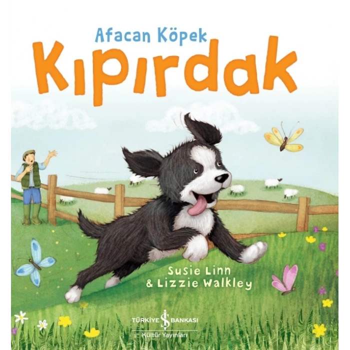 Afacan Köpek Kıpırdak