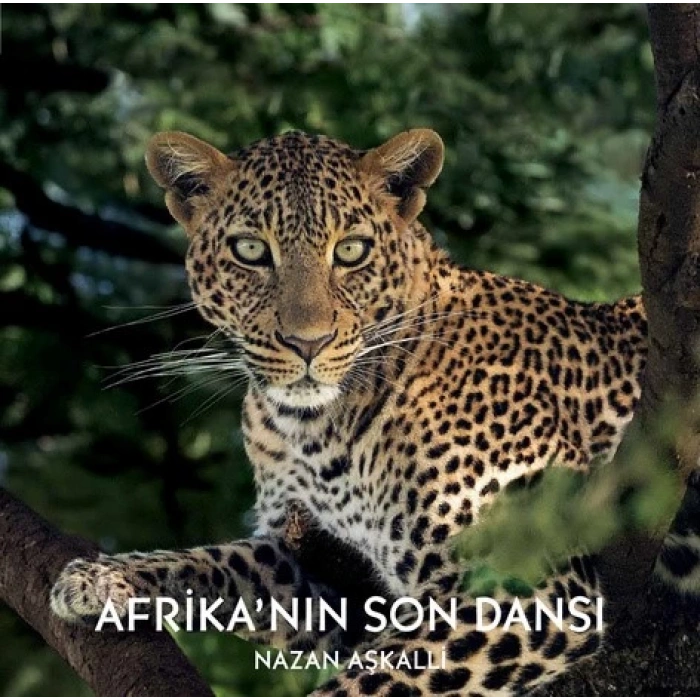 Afrika’nın Son Dansı (Ciltli)