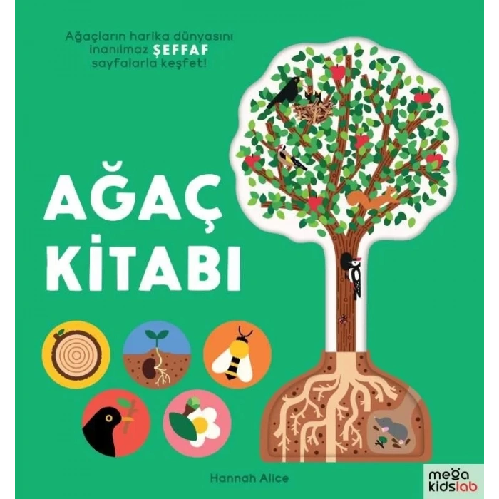 Ağaç Kitabı (Ciltli)