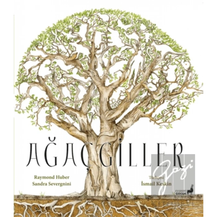 Ağaçgiller