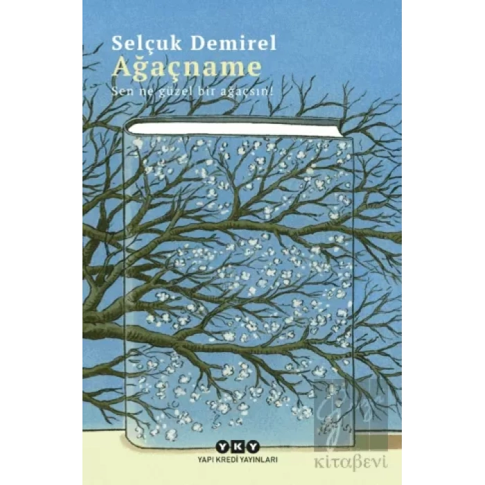 Ağaçname – Sen Ne Güzel Bir Ağaçsın!