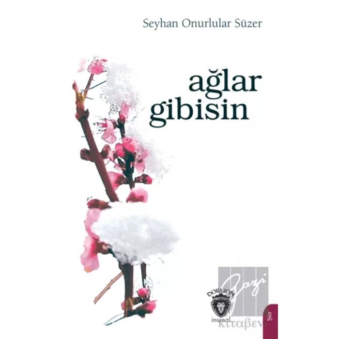 Ağlar Gibisin