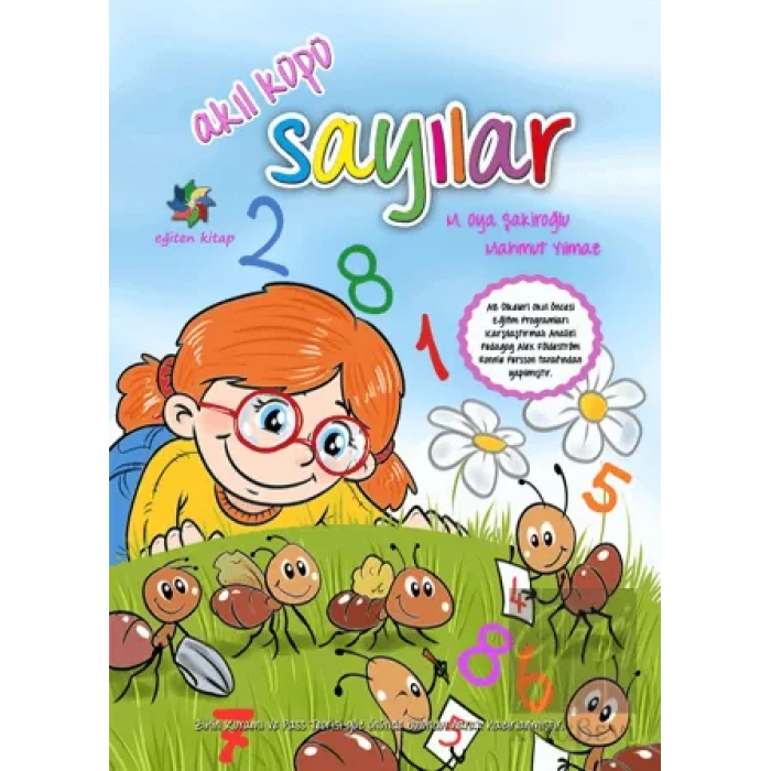 Akıl Küpü - Sayılar