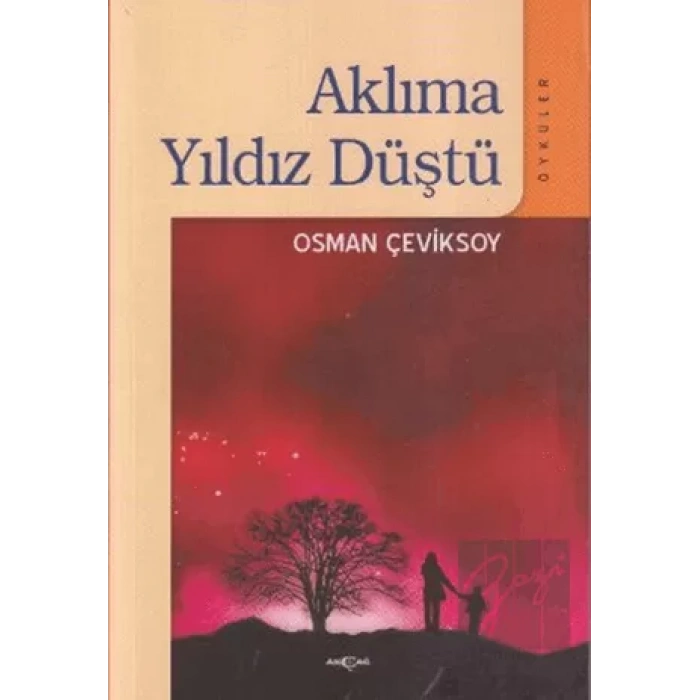 Aklıma Yıldız Düştü
