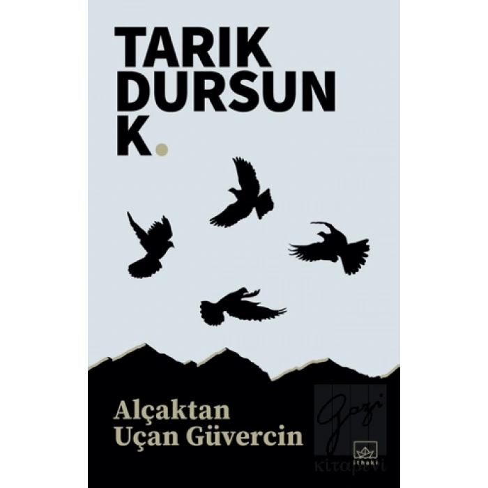 Alçaktan Uçan Güvercin
